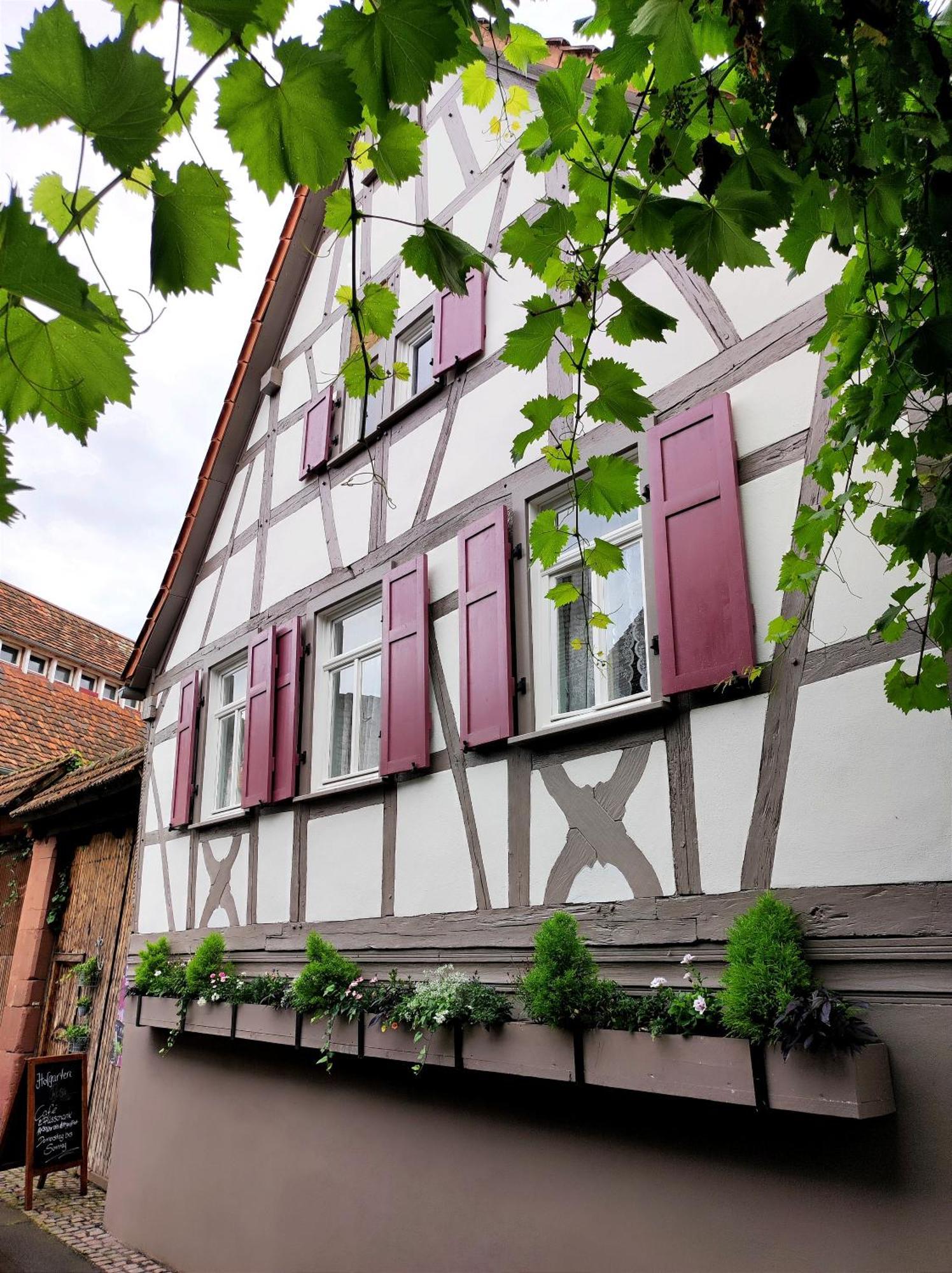 Hofgarten Rosa Ilbesheim bei Landau in der Pfalz Buitenkant foto