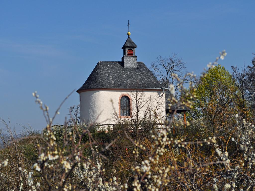 Hofgarten Rosa Ilbesheim bei Landau in der Pfalz Buitenkant foto