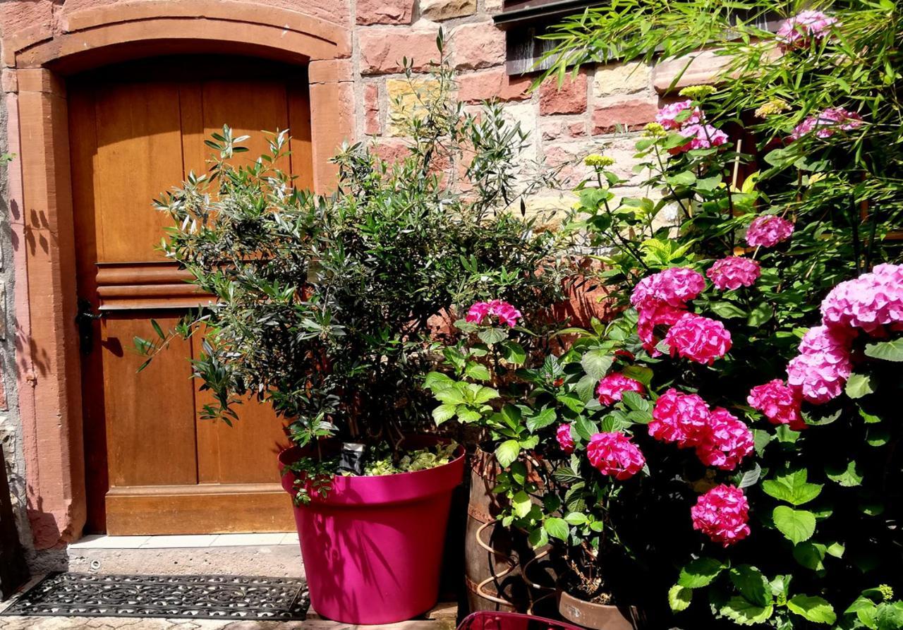 Hofgarten Rosa Ilbesheim bei Landau in der Pfalz Buitenkant foto